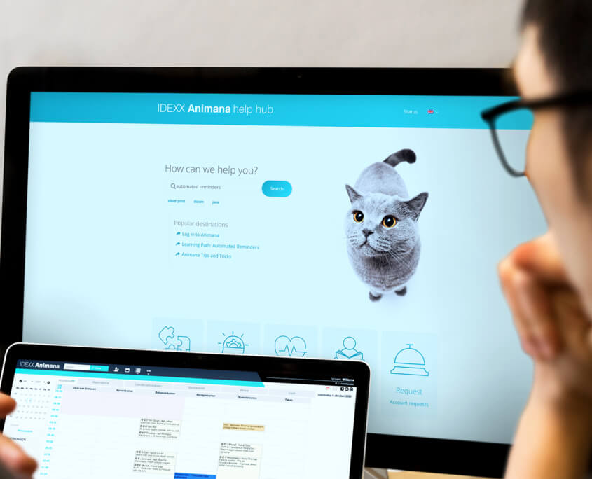 Anima Software Animana help hub Archives - IDEXX Software